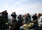 Margot Klingers : VWG vogelreis Oost Duitsland mei 2010, m.klingers